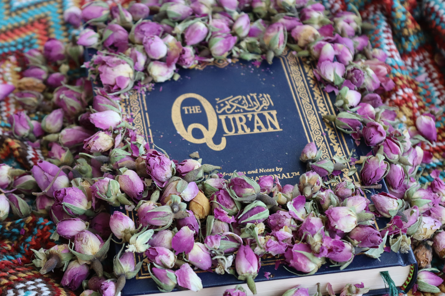 QURAN english translation