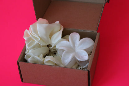 AESTHETIC CHIC GIRL MINI GIFT SET