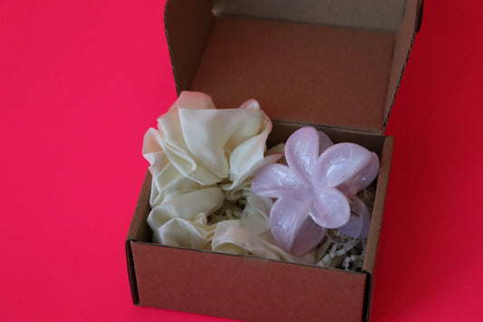 AESTHETIC CHIC GIRL MINI GIFT SET